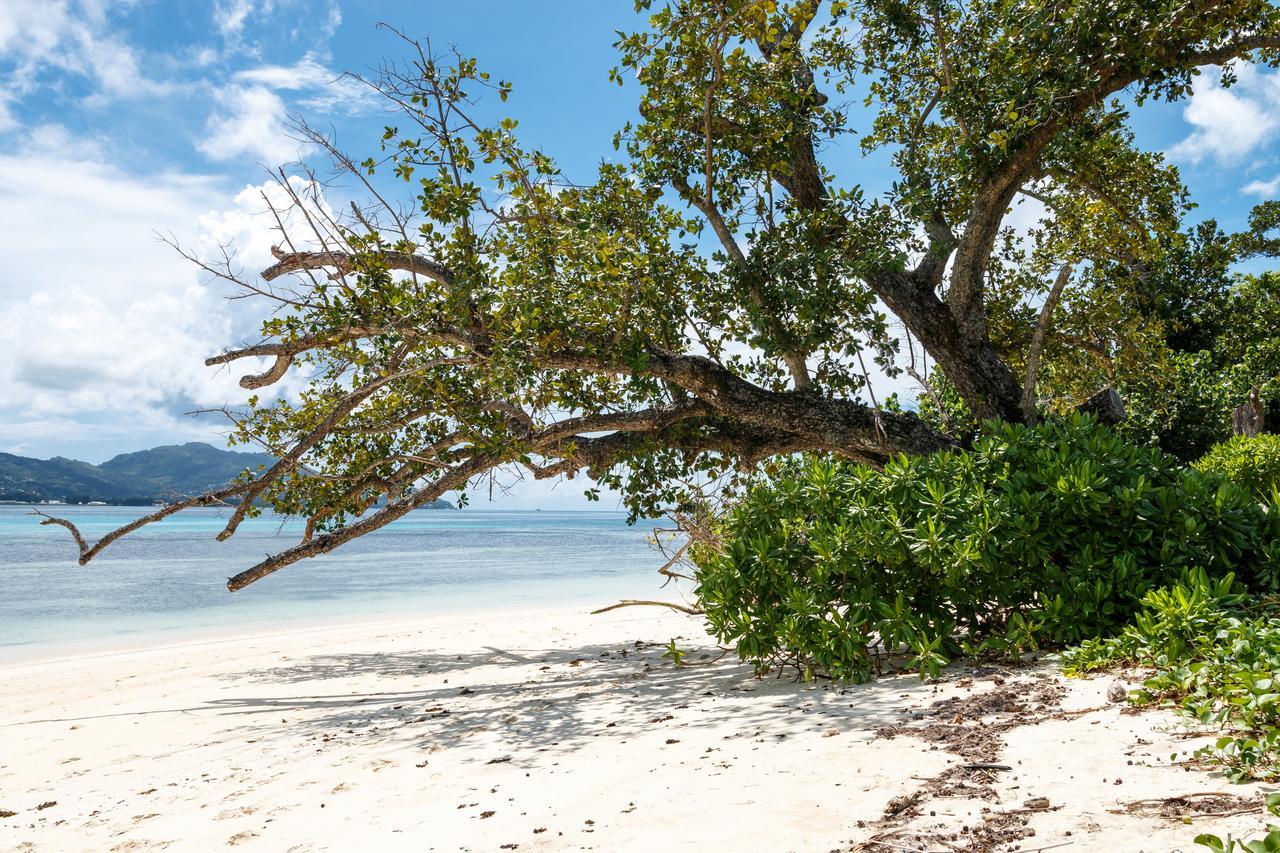 Surf Tropical Villa Seascape Cerf Island Exterior photo